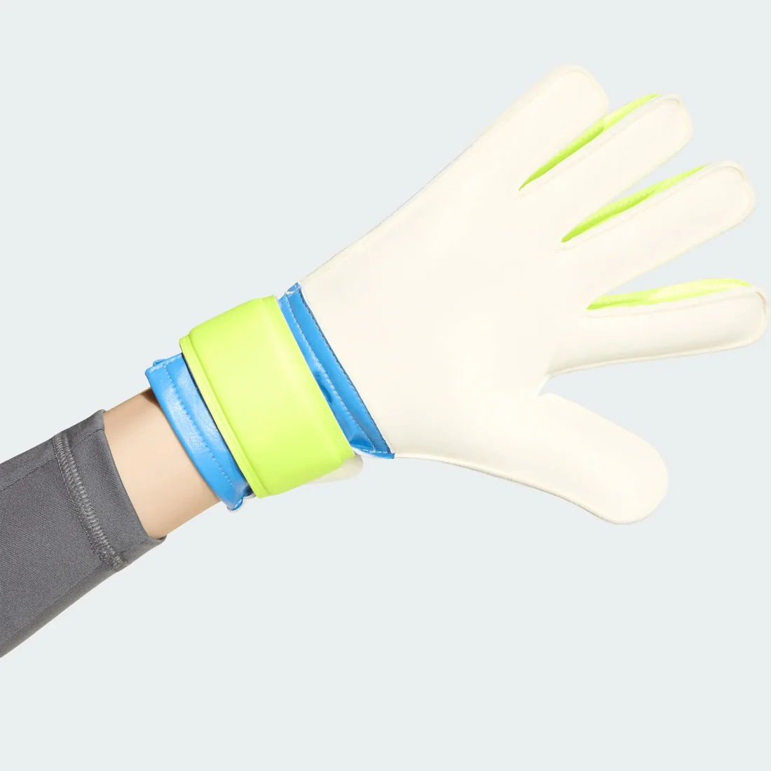 adidas Junior Predator TRN Soccer Goalkeeper Glove - Image 3