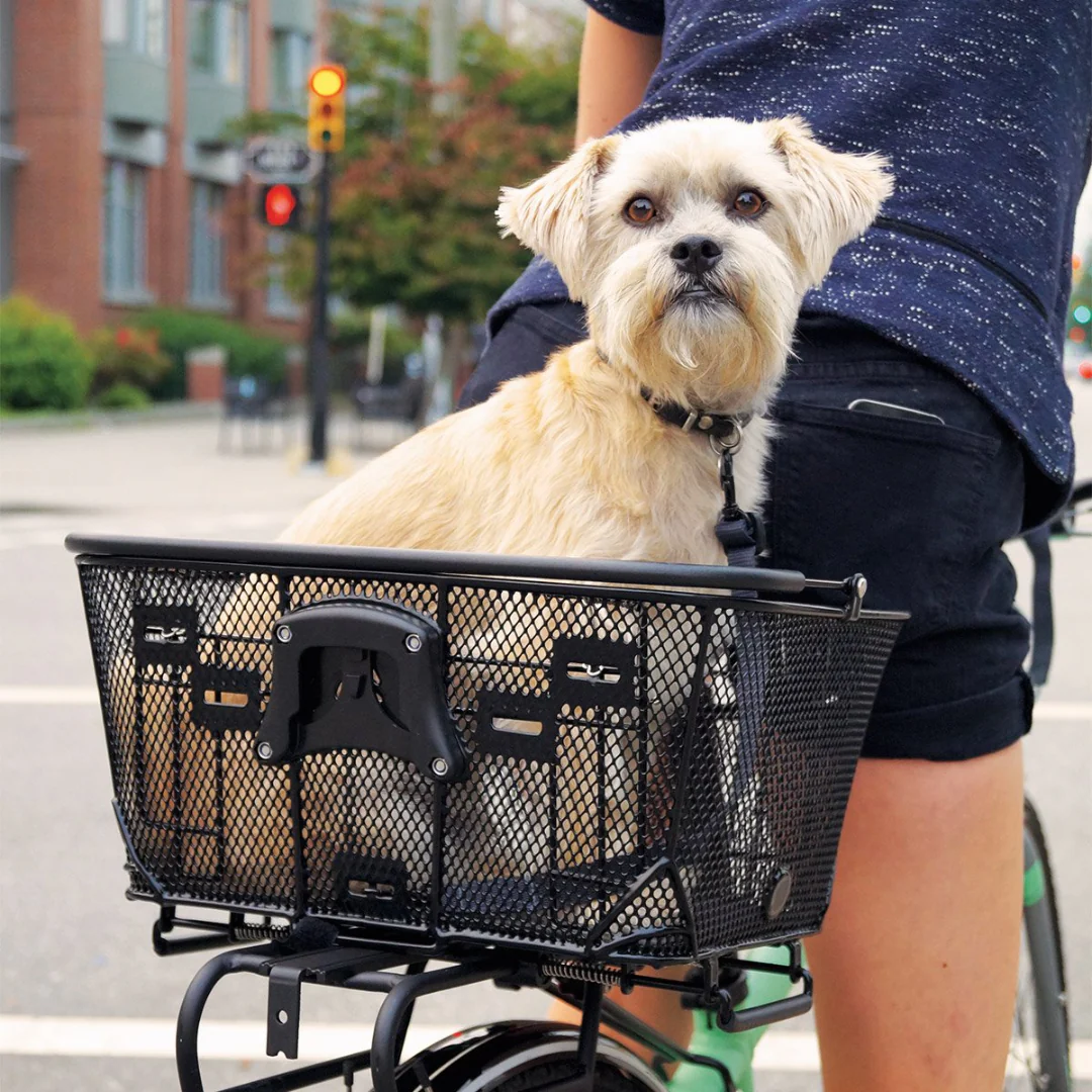 Axiom Quick Release Dual Function Pet Basket - Image 3