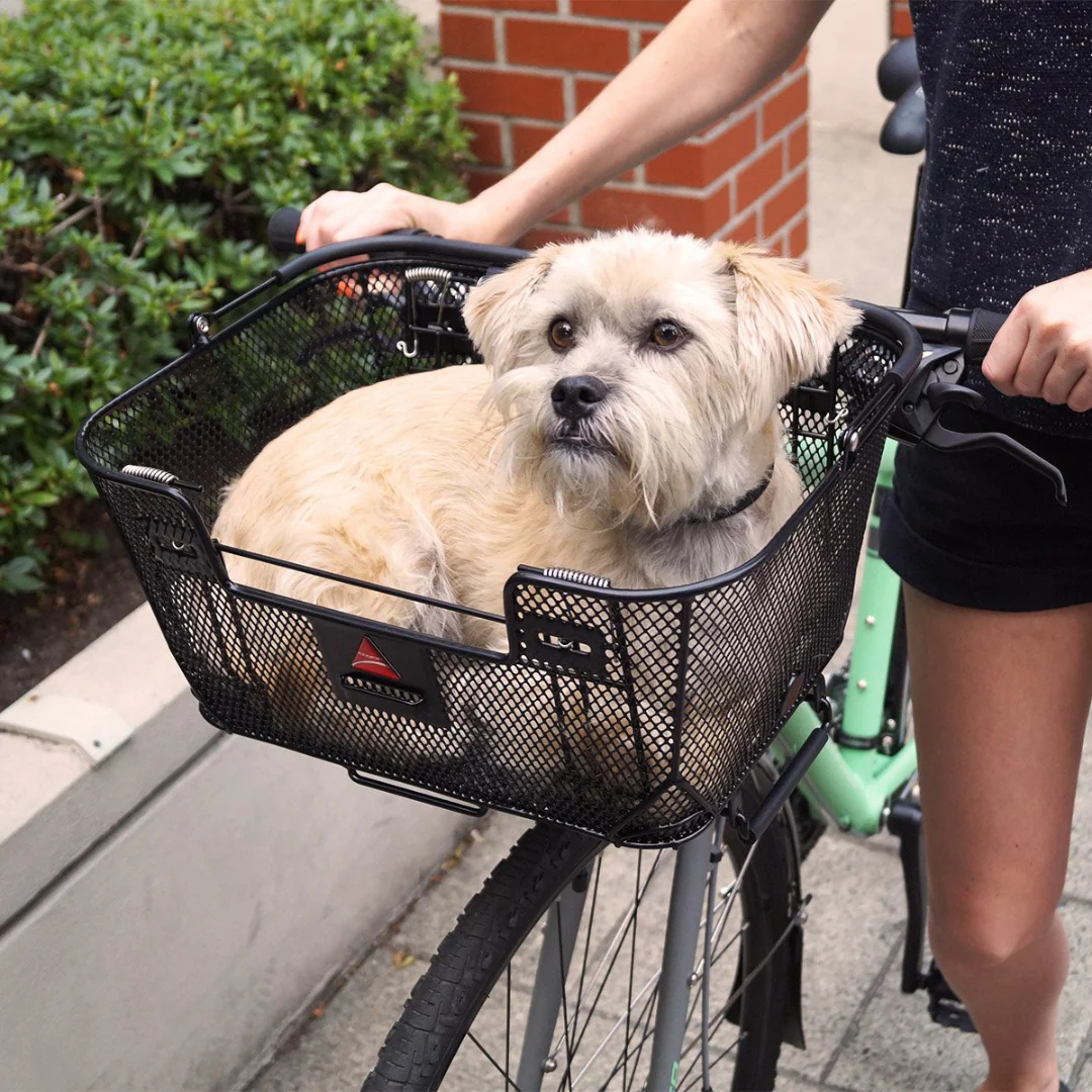 Axiom Quick Release Dual Function Pet Basket - Image 4