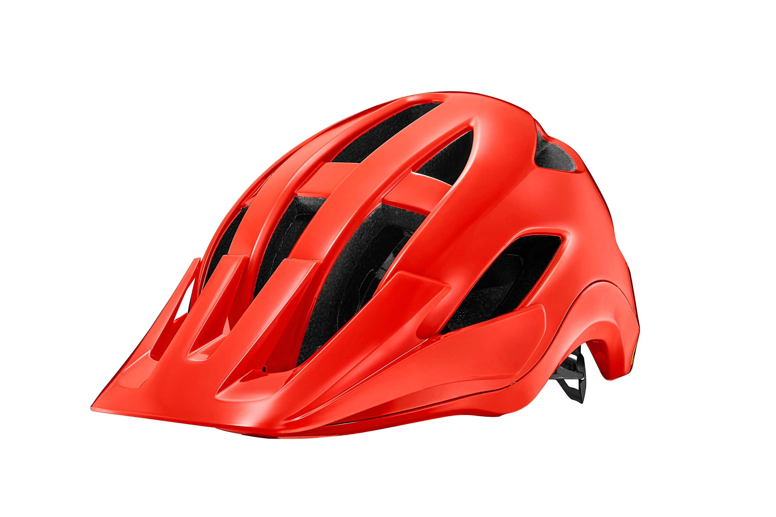 Giant Roost MIPS Bike Helmet
