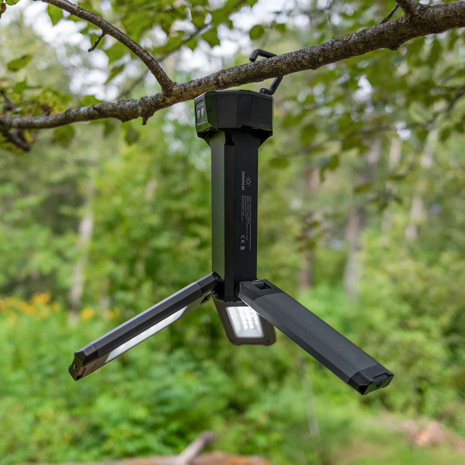 KUMA Northstar LED Fixture - Image 4