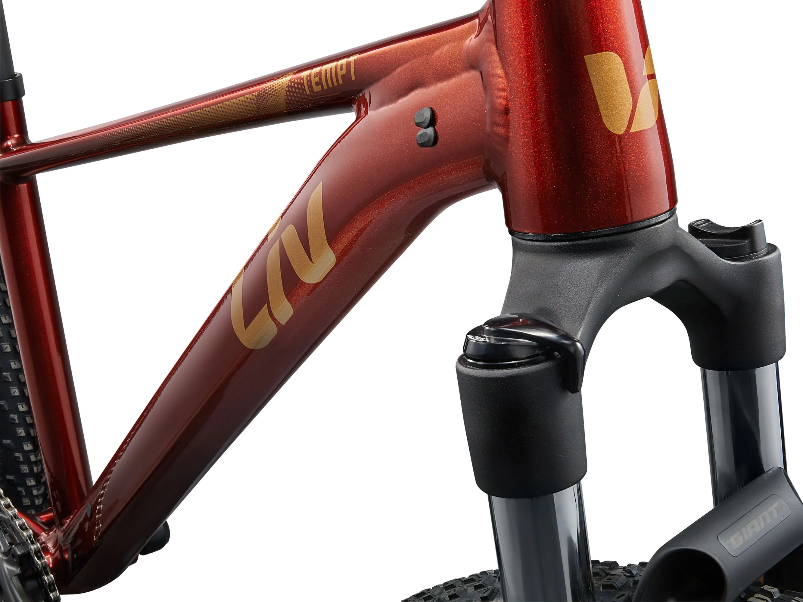 Liv Tempt 2 Hardtail Trail Bike 2026 - Image 4