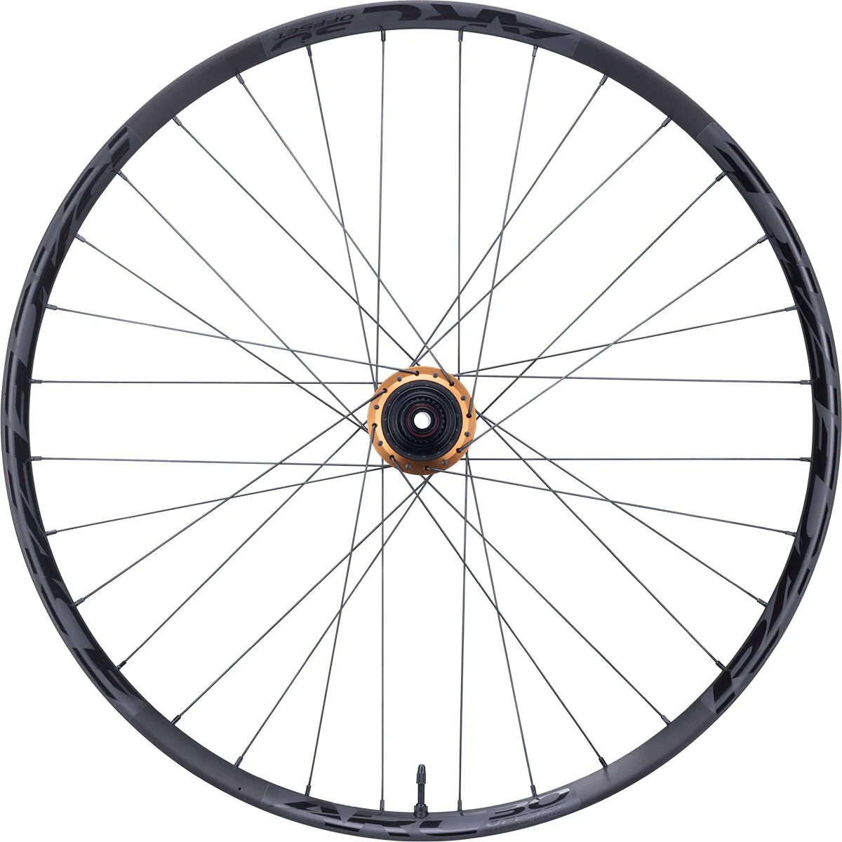 Race Face 29" Kashmoney ARC Alloy Wheel Set