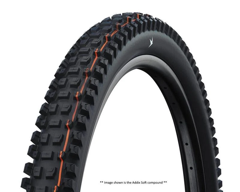 Schwalbe Albert Gravity Pro Radial Tubeless Ready Folding Tire