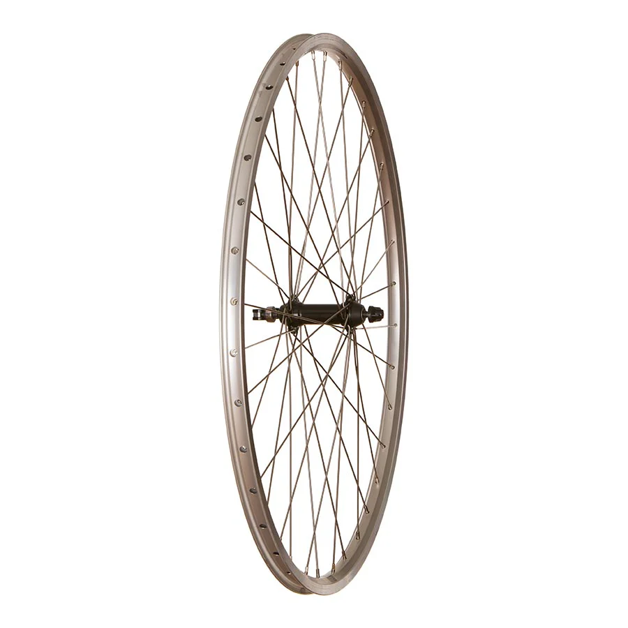 Wheel Shop Evo Tour 19 (27") Wheel